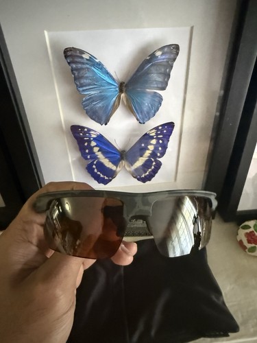 Oakley bisphaera sunglasses - oakley,